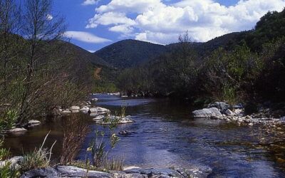 Pesca en el Río Yeguas