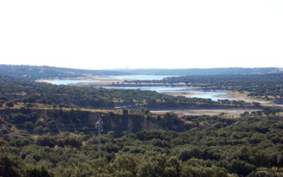 ¿Conoces la Pesca en el Embalse del Pardo en Madrid?