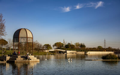 Pesca en el Lago de Polvoranca